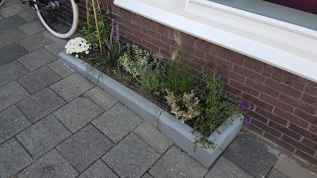 Deze producten maken klimaatadaptie zichtbaar en makkelijk