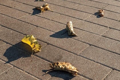 Betonsteen met een roestig uiterlijk
