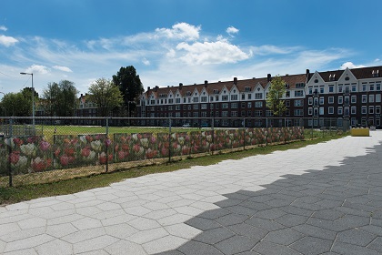 Parksteen Penta geeft Houthavenpark karakter