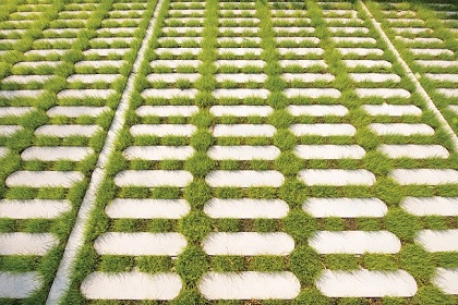 Nieuw: grasbetonstraatsteen Mirum