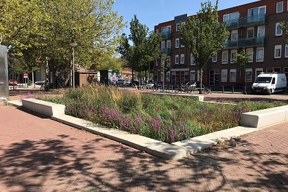 Klimaatadaptieve oplossingen samen met Field Factors