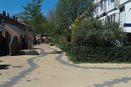 Markant Karrespoor met drie varianten Novato