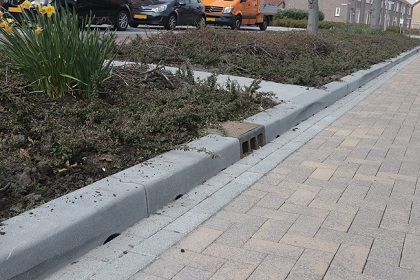 Metingen&nbsp;Kerb-IT: lokale infiltratie met positief effect openbaar groen&nbsp;