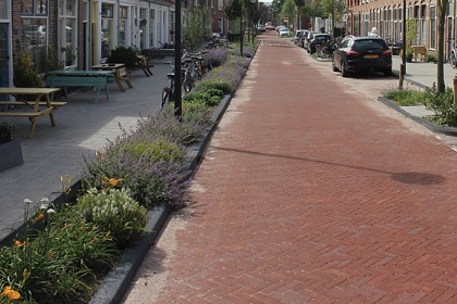 Leiden kleurt blauw en groen