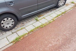Onkruidpreventie door beter straatwerk en meer groen