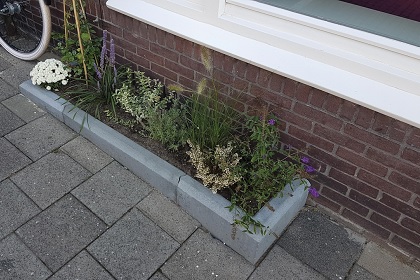 Maak klimaatadaptatie zichtbaar en makkelijk