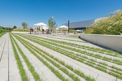 Grasbestrating - de 5 meest gestelde vragen over aanleg en onderhoud