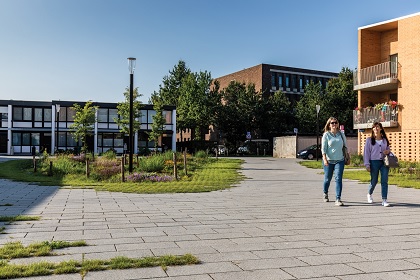 Groen straatbeeld voert de boventoon dankzij Hydro Lineo XL 