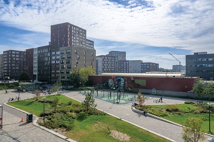 Verduurzamen van de buitenruimte met groen, blauw &eacute;n grijs