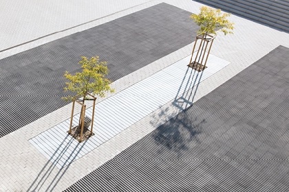 Planum betonnen boomkransen