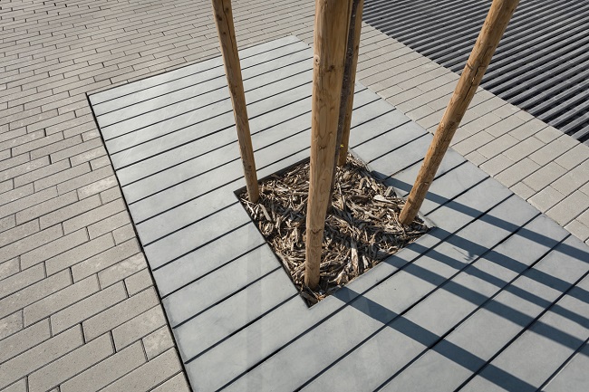 betonnen boomspiegel