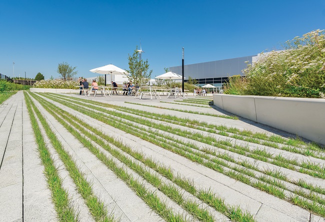 Groenbestrating Hydro Lineo