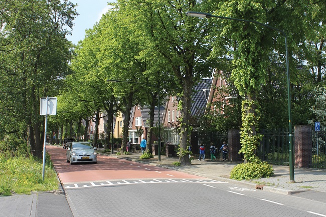 Grijze weg | 50 km/h zone