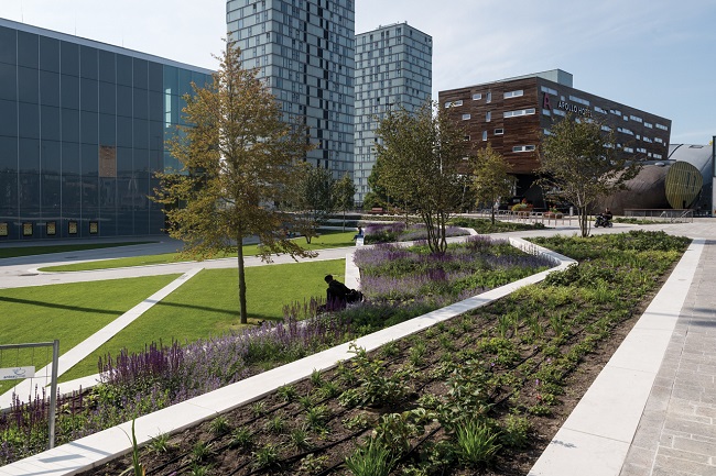 Natuurinclusieve buitenruimte