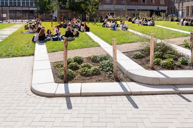 Hoogteverschil Park Piot | Brede trottoirbanden