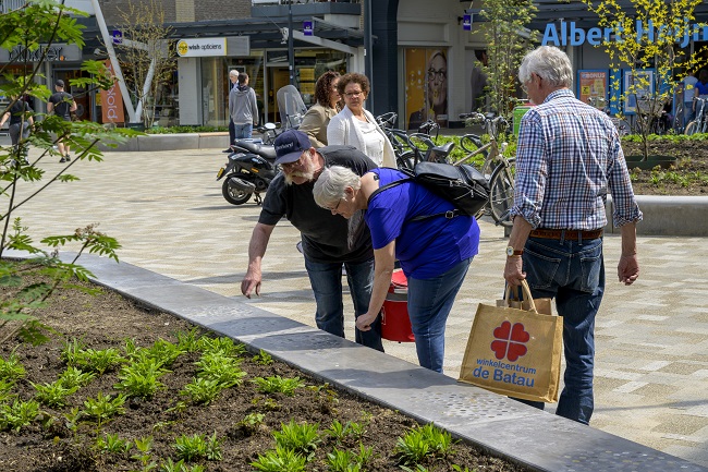 Solids parkbanden met ingelegde oude muntjes