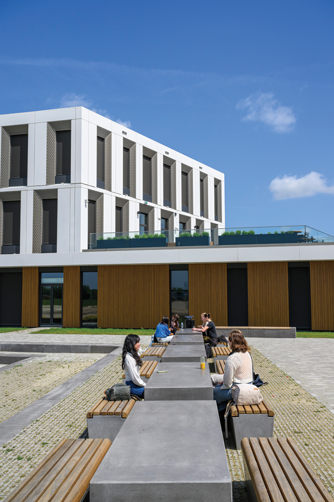 Rodenborch | Picknick plaats