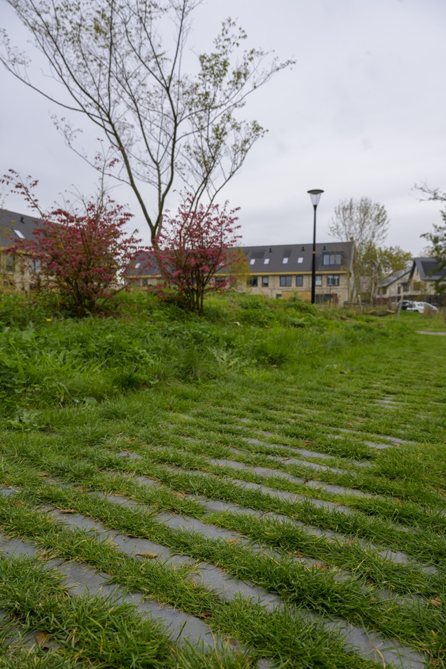 Vijfsluizen | gedeeld groen