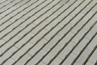 Hydro Lineo in De Groene Mient