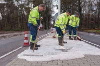 Invoegen Nevergreen N234